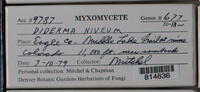 Image Associated With the Occurence